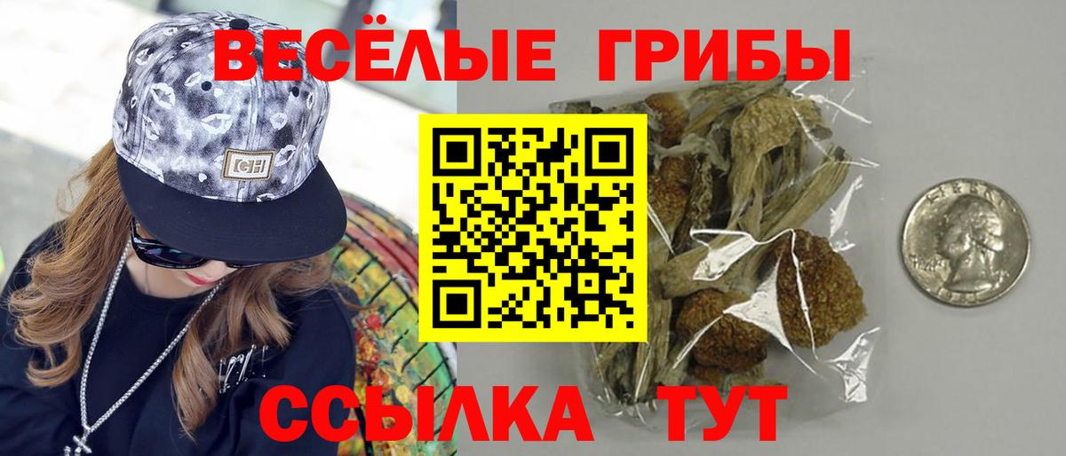Галлюциногенные грибы GOLDEN TEACHER  Галлюциногенные грибы MAGIC MUSHROOMS  Вход с VPN  Красный Сулин 